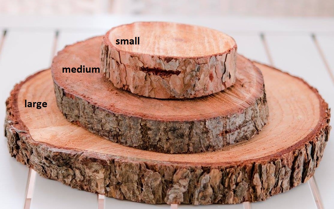wooden tree trunk slices to rent