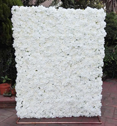 flower wall johannesburg to hire